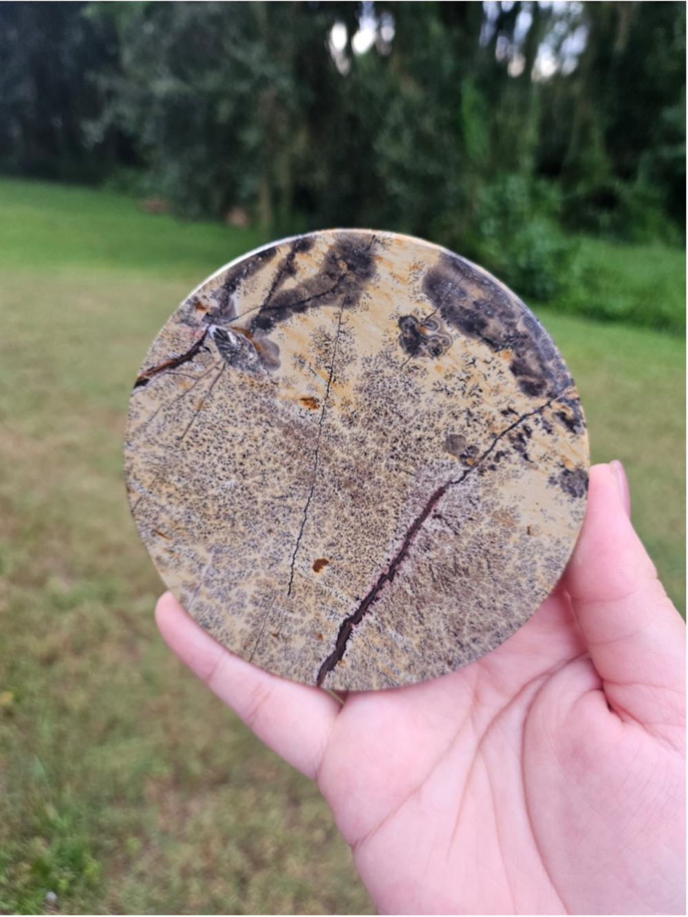 Picture jasper circle slab 3.9 in